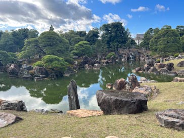 元離宮二条城に投稿された画像（2023/11/13）