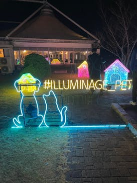 神戸イルミナージュに投稿された画像（2023/11/13）