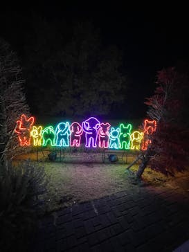 神戸イルミナージュに投稿された画像（2023/11/13）