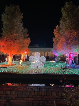 神戸イルミナージュに投稿された画像（2023/11/13）