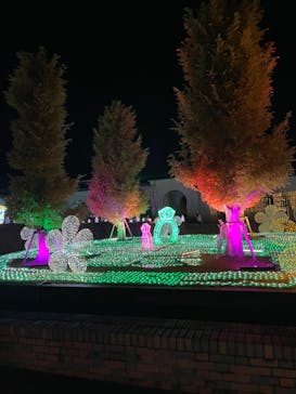 神戸イルミナージュに投稿された画像（2023/11/13）