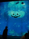 アクアワールド茨城県大洗水族館に投稿された画像（2023/11/14）