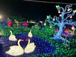 伊豆ぐらんぱる公園に投稿された画像（2023/11/14）