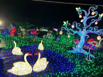 伊豆ぐらんぱる公園に投稿された画像（2023/11/14）