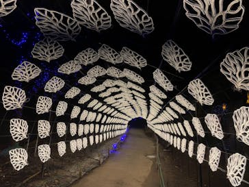 伊豆ぐらんぱる公園に投稿された画像（2023/11/14）