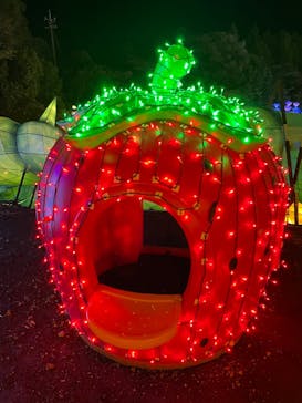 伊豆ぐらんぱる公園に投稿された画像（2023/11/14）