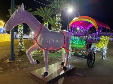 伊豆ぐらんぱる公園に投稿された画像（2023/11/14）