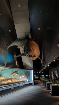 環境水族館アクアマリンふくしまに投稿された画像（2023/11/14）