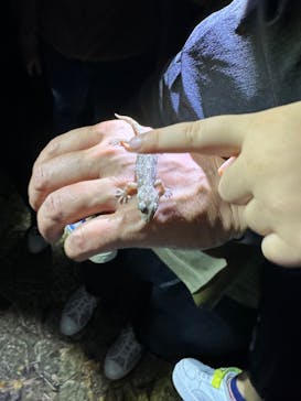 宮古島 ADVENTURE PiPi（ミヤコジマ アドベンチャー ピピ）に投稿された画像（2023/11/14）