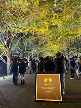 国営昭和記念公園 秋の夜散歩に投稿された画像（2023/11/14）