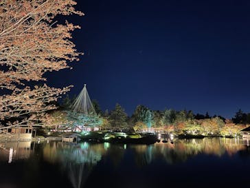 国営昭和記念公園 秋の夜散歩に投稿された画像（2023/11/14）