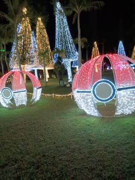 美らヤシパークオキナワ・東南植物楽園に投稿された画像（2023/11/14）