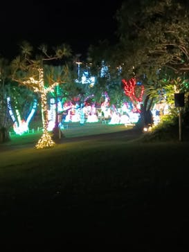 美らヤシパークオキナワ・東南植物楽園に投稿された画像（2023/11/14）