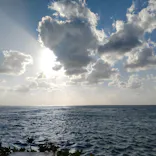 武藤潜水に投稿された画像（2023/11/14）