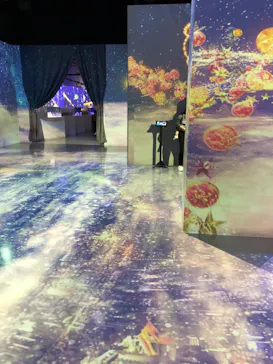 マクセル アクアパーク品川に投稿された画像（2023/11/14）