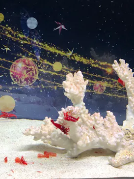 マクセル アクアパーク品川に投稿された画像（2023/11/14）