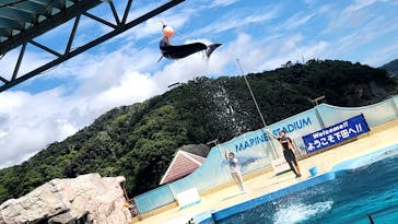 下田海中水族館に投稿された画像（2023/11/14）