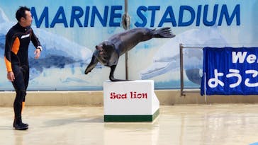 下田海中水族館に投稿された画像（2023/11/14）