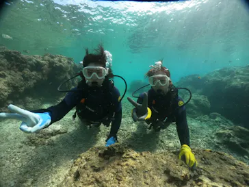 武藤潜水に投稿された画像（2023/11/14）