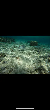 武藤潜水に投稿された画像（2023/11/14）