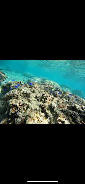 武藤潜水に投稿された画像（2023/11/14）