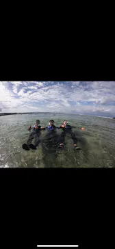 武藤潜水に投稿された画像（2023/11/14）