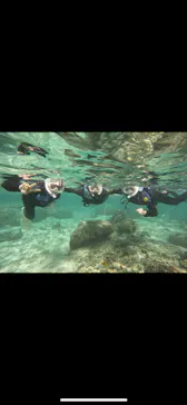 武藤潜水に投稿された画像（2023/11/14）