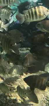 武藤潜水に投稿された画像（2023/11/14）