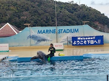 下田海中水族館に投稿された画像（2023/11/14）