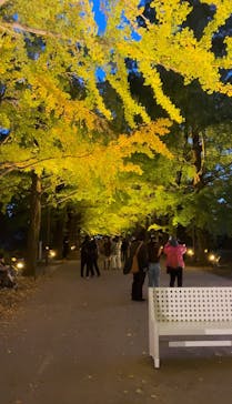 国営昭和記念公園 秋の夜散歩に投稿された画像（2023/11/14）