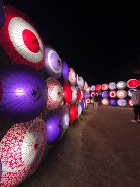 国営昭和記念公園 秋の夜散歩に投稿された画像（2023/11/14）