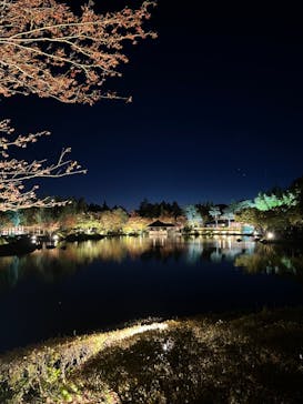国営昭和記念公園 秋の夜散歩に投稿された画像（2023/11/14）