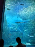 新江ノ島水族館に投稿された画像（2023/11/14）