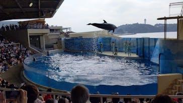 新江ノ島水族館に投稿された画像（2023/11/14）