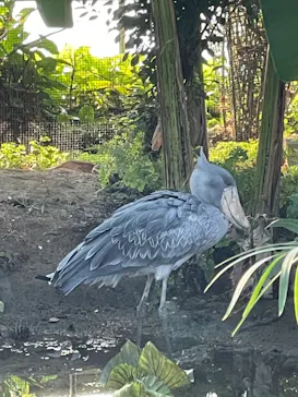 神戸どうぶつ王国に投稿された画像（2023/11/14）