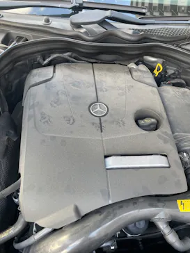 神戸どうぶつ王国に投稿された画像（2023/11/14）