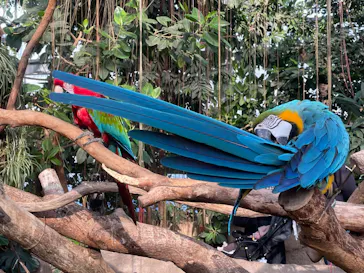 神戸どうぶつ王国に投稿された画像（2023/11/14）