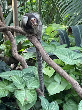 神戸どうぶつ王国に投稿された画像（2023/11/14）