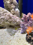 サンシャイン水族館に投稿された画像（2023/11/14）