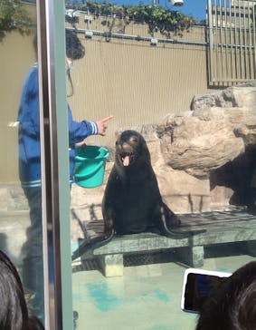 サンシャイン水族館に投稿された画像（2023/11/14）