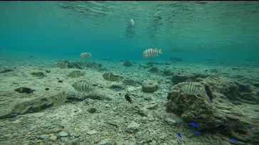 武藤潜水に投稿された画像（2023/11/14）