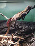 サンシャイン水族館に投稿された画像（2023/11/14）