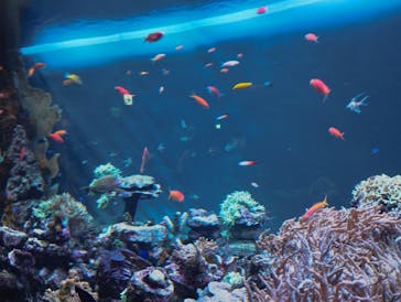 サンシャイン水族館に投稿された画像（2023/11/14）