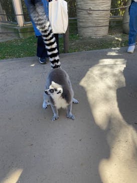 東武動物公園に投稿された画像（2023/11/14）