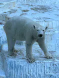 天王寺動物園に投稿された画像（2023/11/14）