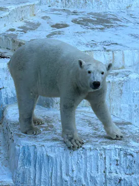 天王寺動物園に投稿された画像（2023/11/14）