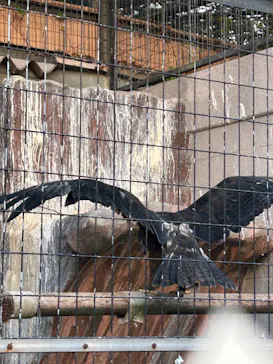 天王寺動物園に投稿された画像（2023/11/14）