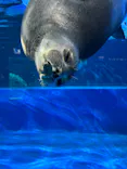 サンシャイン水族館に投稿された画像（2023/11/14）