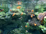サンシャイン水族館に投稿された画像（2023/11/14）