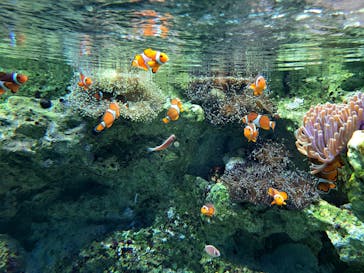 サンシャイン水族館に投稿された画像（2023/11/14）